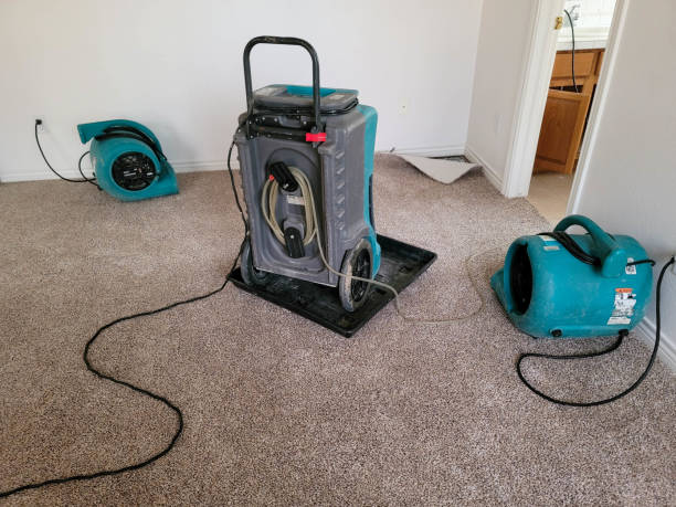 Best Basement water damage restoration  in Nashville, NC