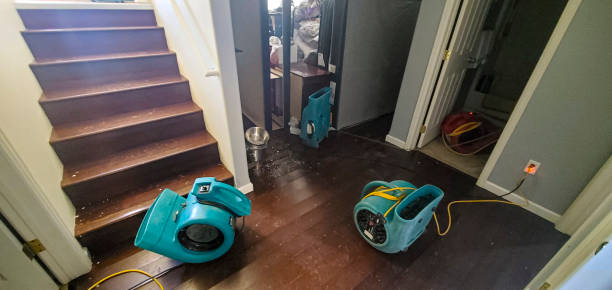 Best Local water damage restoration  in Nashville, NC