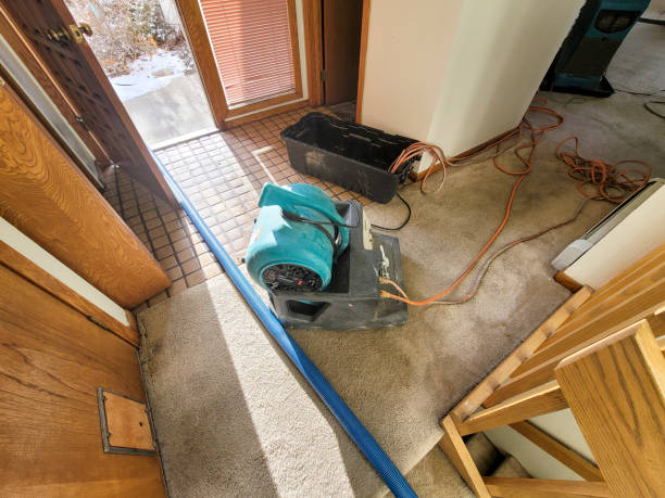  Nashville, NC Water damage restoration Pros