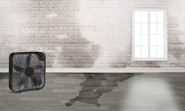 Best Water damage restoration near me  in Nashville, NC