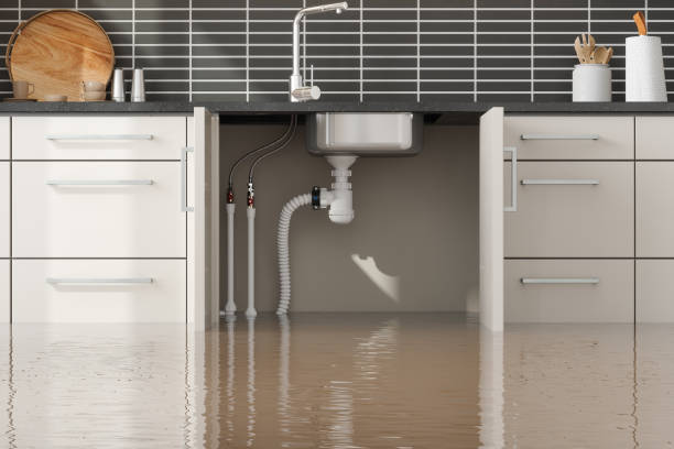 Best Flood restoration services  in Nashville, NC