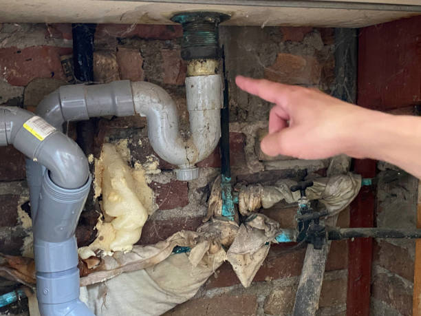 Best Mold removal after water damage  in Nashville, NC