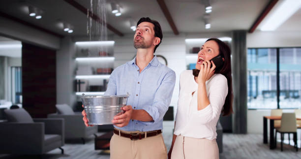 Best Flood damage cleanup  in Nashville, NC