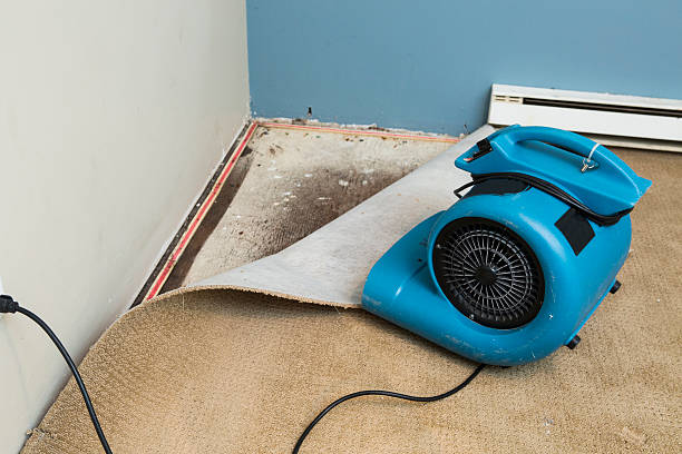 Best Commercial water damage restoration  in Nashville, NC